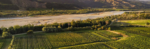 ニュージーランドワイン