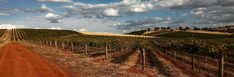 オーストラリアワイン