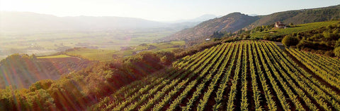 アメリカのワイン