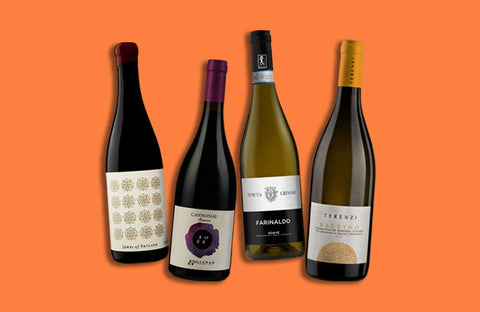 美味しいワイン2本 OR 4本