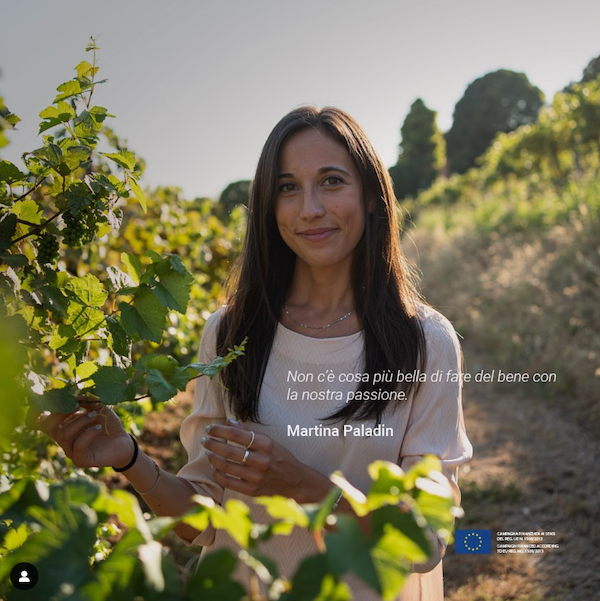 ［席数限定］ワインディナー @ ピッコログランデ麻布十番